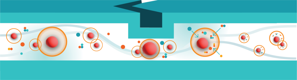 A graphic shows cells flowing under a chevron shaped ridge, where the cell is compressed, and then returning to their normal size after the ridge. Payload is shown being delivered inside the cell once it returns to size after the ridge. 